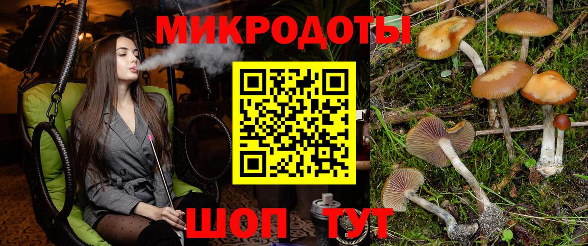 Галлюциногенные грибы Psilocybine cubensis Людиново
